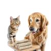 TZL Freeze Dried Duck Sticks Cat Treats Protein Teeth-2