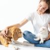 OPET Freeze Dried Cat Treats High Protein Grain Free-4