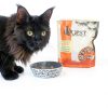 Steve's Real Food Freeze-Dried Cat Food Complete Nutrition-5