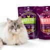 Stella Chewys Freeze Dried Cat Food Digestive Boost-5
