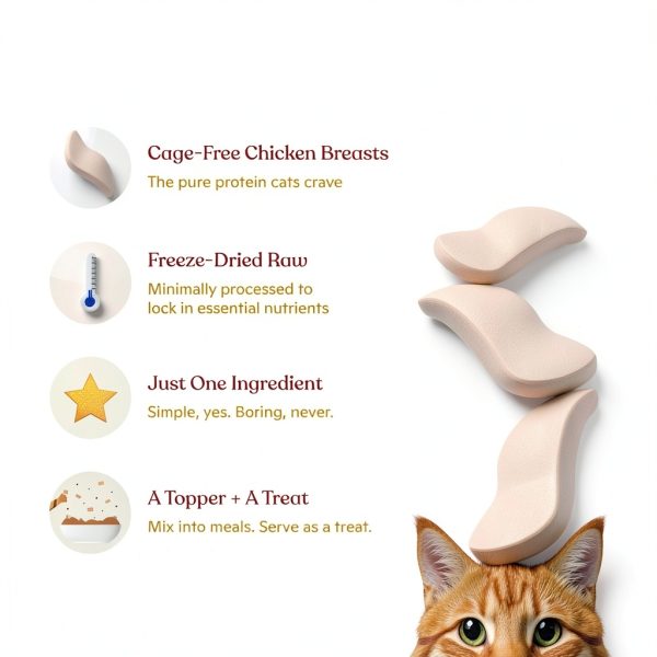 Made by Nacho Cat Food Organic Chicken Grain Free-4