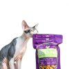 Stella Chewys Freeze Dried Cat Food Digestive Boost-3