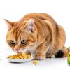 Gzalonty Freeze Dried Pet Food Natural Chicken Pumpkin-4