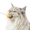 MalsiPree Freeze Dried Chicken Cat Treats Protein Lollipop-1