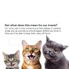 MalsiPree Freeze Dried Chicken Cat Treats Protein Lollipop-5