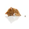 Feline Natural Grain Free Dry Cat Food High Protein-4