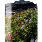 West Margin Press Denver Colorado Travel Book Kindle Edition-0