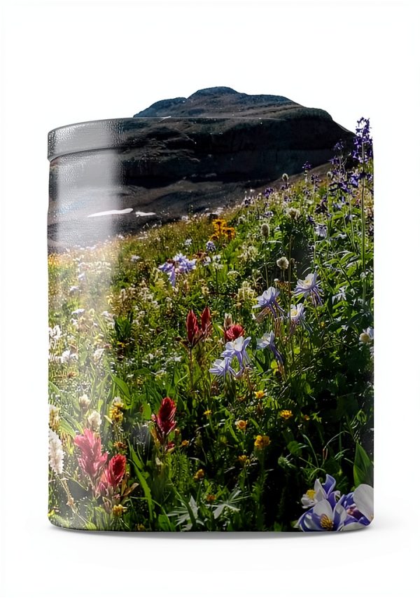 West Margin Press Denver Colorado Travel Book Kindle Edition-0